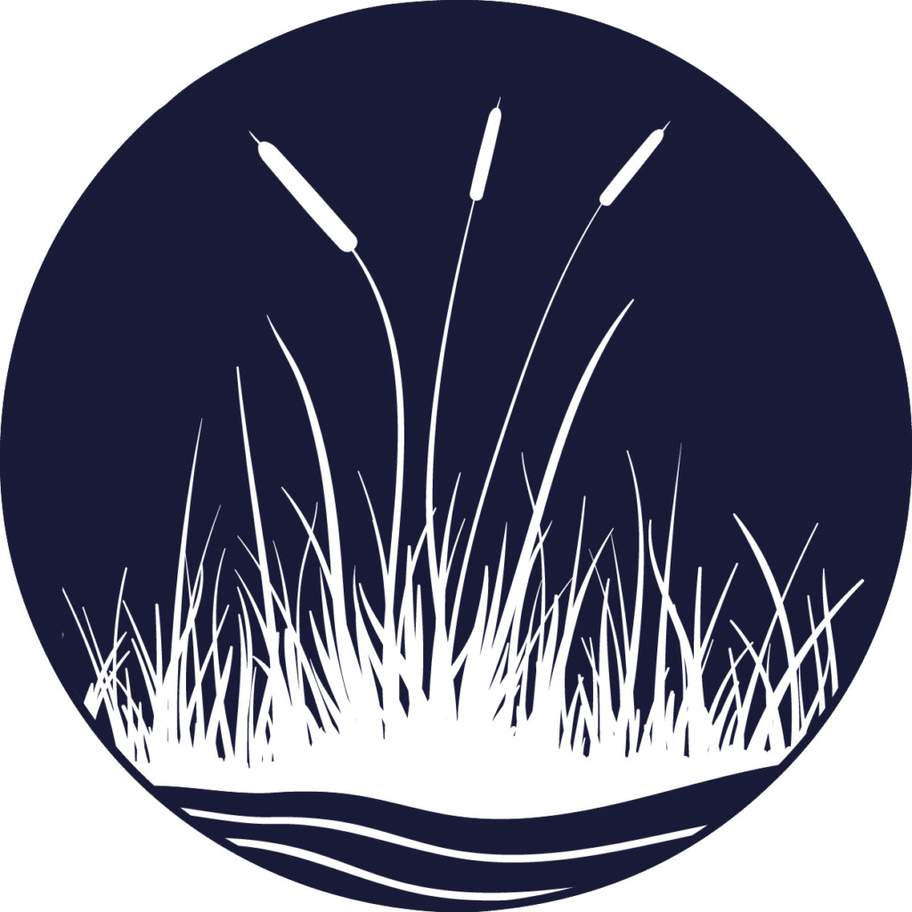 Perte et dégradation des milieux humides et riverains