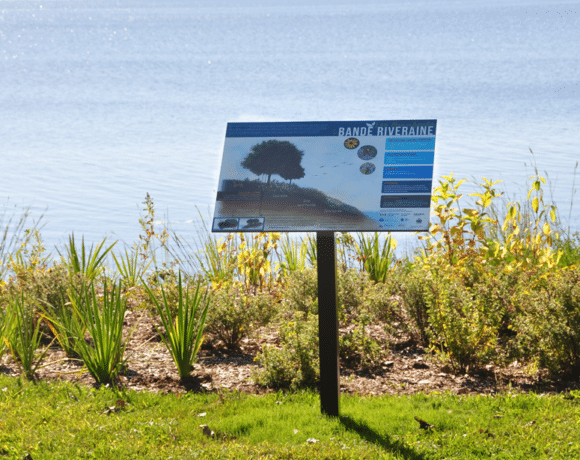 Un nombre grandissant de riverains choisissent de regarnir leur bande riveraine!