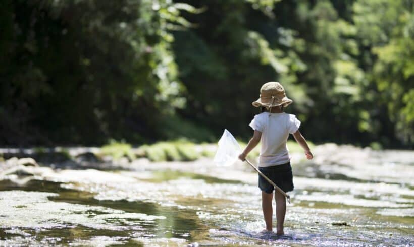 Communiqué – Juin mois de l’eau Communiqué – Juin mois de l’eau