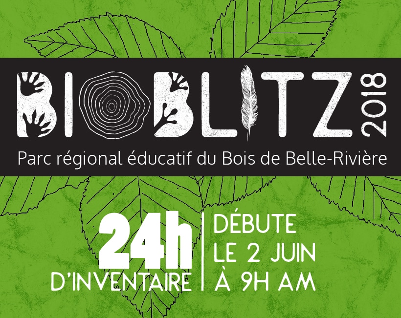 Un bioblitz au Parc régional éducatif Bois de Belle-Rivière